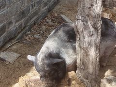 -清风小镇闯关东影视基地