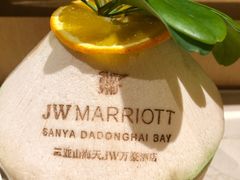 -三亚绿发山海天JW万豪酒店