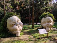 -东平国家森林公园