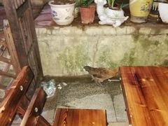 -鱼乐岛餐厅·户外花园主题餐厅
