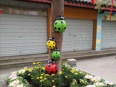 -杭州少年儿童公园