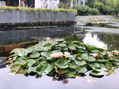 -杭州城北体育公园