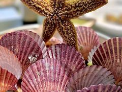 -悦海·家宴·冰花皮皮虾大锅贴(宝龙店)