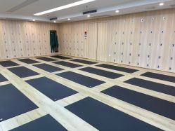 -酉嘉瑜伽YO+YOGA