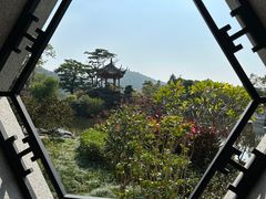 -顺峰山公园