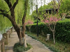 -运河游船(武林门码头)