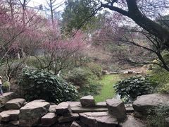 -杭州半山国家森林公园