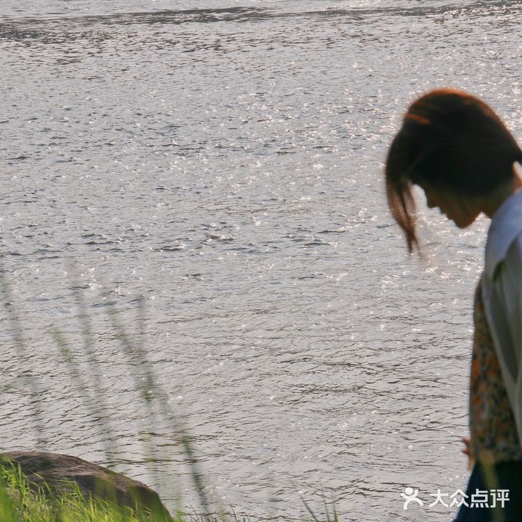 重庆踏青|小众打卡地-九曲河湿地公园