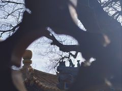 -贤良祠