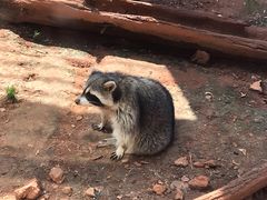 -昆明动物园