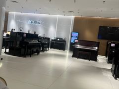 -雅马哈乐器专卖店(广州旗舰店)
