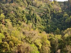 -中国茶叶博物馆(双峰馆区)