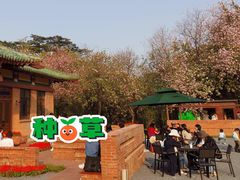 -华农酸奶文化馆