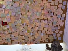 -白兔子密室(长寿路店)