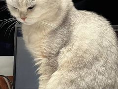 -特一安24小时宠物医院·骨科·中兽医