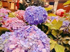 -园林美食城·本土农家菜(杨和镇店)