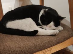 -猫的天空之城概念书店(杭州南宋御街店)