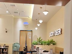 -仙隐小鹿料理食堂(武汉摩尔城店)