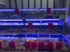 -金海湾海鲜排档(朱家尖店)