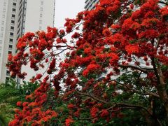 -东风公园