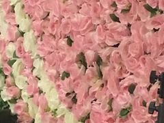 -武汉紫薇都市田园