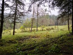 -硗碛藏寨·神木垒景区