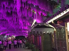 -婺源梦里老家大型山水实景演出