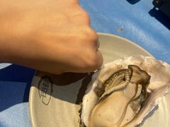 -千岛蚝高压锅生蚝·人参火锅(白云万达店)