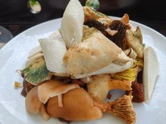 -山菌美食苑(振兴路店)