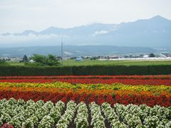 -富田农场