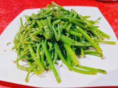 炒佛手瓜苗-粤北餐馆