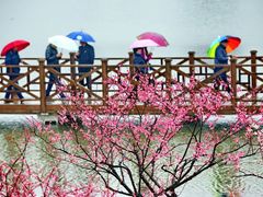 -上海海湾国家森林公园