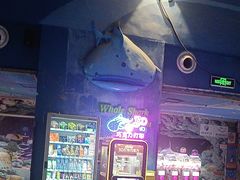 -烟台海昌鲸鲨海洋公园