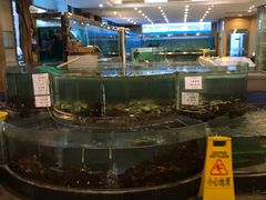 -大东方海鲜酒楼(小武基桥店)