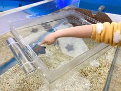 -上海海洋水族馆
