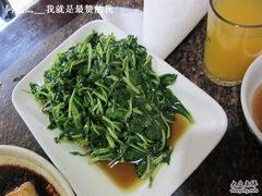 清炒马兰头-唔呶喔哩酒家(生产街店)