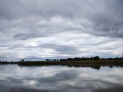 -盐城丹顶鹤湿地生态旅游区