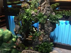 -东椰·海南椰子鸡火锅(朝阳门店)