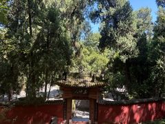 -武侯墓风景区