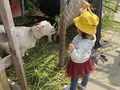 -小鱼草莓采摘园农家乐·小鱼餐厅