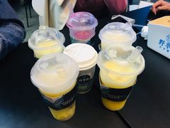 -野萃山·潮汕厚果汁(十亩地店)