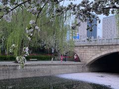 -元大都城垣遗址公园