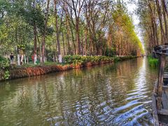 -合肥滨湖国家森林公园