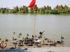 -艾溪湖湿地公园