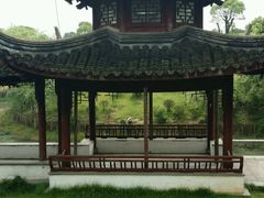 -八大山人梅湖景区
