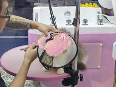 -FAELING PETS美天灵宠物(富力广场店)