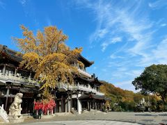 -句容茅山景区