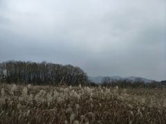 -长兴太湖图影湿地文化园