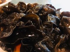 东北黑木耳-牧羊餐厅