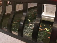 -龙悦湾酒家·八阵鱼生·渔人码头店